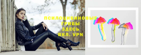 мяу мяу мука Осинники