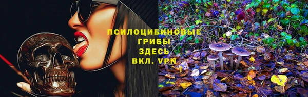 герыч Абинск