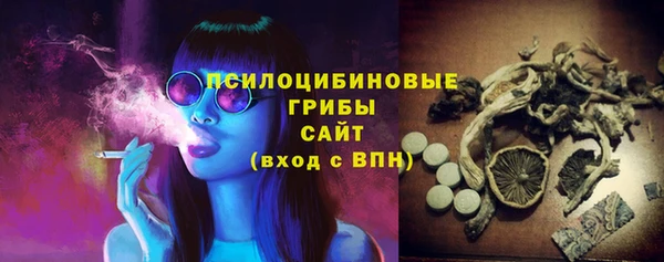 гидра Осташков
