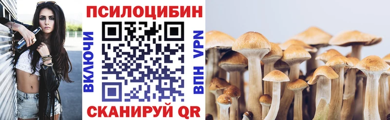 ссылка на мегу ТОР  Полярный  Галлюциногенные грибы Magic Shrooms 